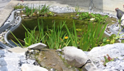 Wasserspiele - Biotop - Bachlauf